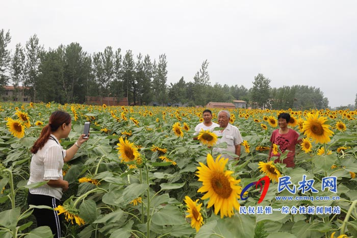 我縣黃河故道生態(tài)廊道萬余棵向日葵怒放 市民觀賞流連忘返 我縣黃河故道生態(tài)廊道萬余棵向日葵怒放 市民觀賞流連忘返
