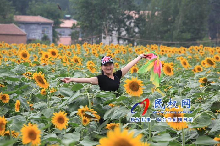 我縣黃河故道生態(tài)廊道萬余棵向日葵怒放 市民觀賞流連忘返 我縣黃河故道生態(tài)廊道萬余棵向日葵怒放 市民觀賞流連忘返