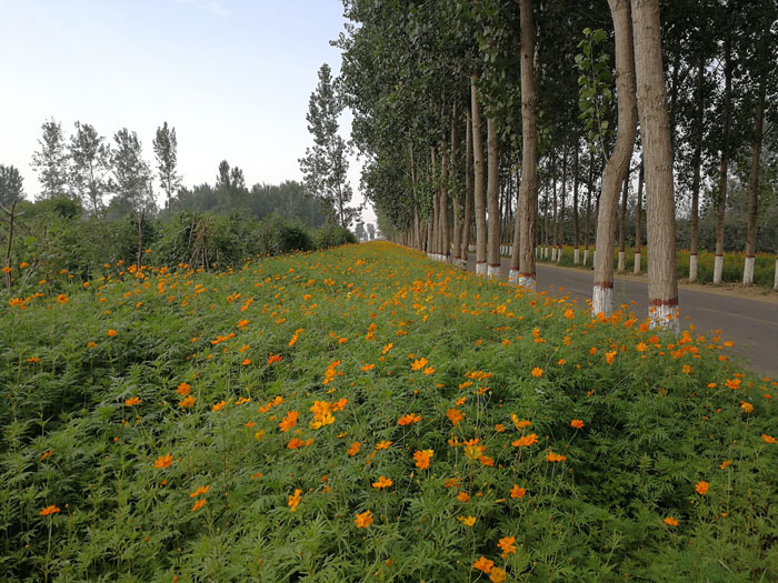 南華辦事處“四好農(nóng)村路”建設(shè)成效初現(xiàn) 南華辦事處“四好農(nóng)村路”建設(shè)成效初現(xiàn)
