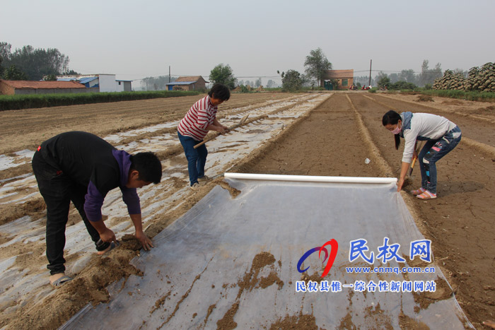 雙塔鎮(zhèn)積極調(diào)整產(chǎn)業(yè)結(jié)構(gòu)發(fā)展大蒜生產(chǎn) 雙塔鎮(zhèn)積極調(diào)整產(chǎn)業(yè)結(jié)構(gòu)發(fā)展大蒜生產(chǎn)