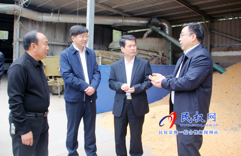 國家糧食局副局長盧景波到我縣視察糧食收購儲備工作 國家糧食局副局長盧景波到我縣視察糧食收購儲備工作