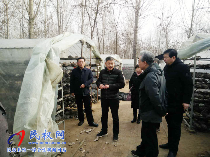 河南省市場監(jiān)督管理局標準化處到我縣調(diào)研林下食用菌標準化種植工作