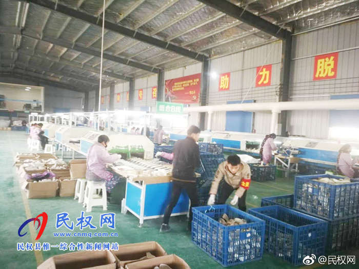 王莊寨鎮(zhèn):扶貧車(chē)間托起群眾致富夢(mèng) 王莊寨鎮(zhèn):扶貧車(chē)間托起群眾致富夢(mèng)