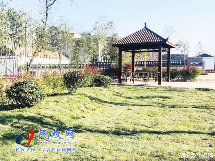孫六鎮(zhèn)任莊村:綠色家園 森林村莊 孫六鎮(zhèn)任莊村:綠色家園 森林村莊