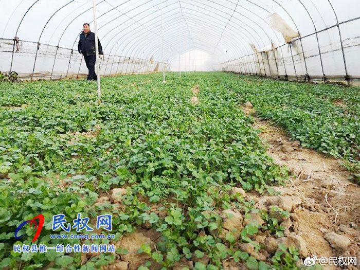 莊子鎮(zhèn)王西村:特色產(chǎn)業(yè)助推精準(zhǔn)扶貧 莊子鎮(zhèn)王西村:特色產(chǎn)業(yè)助推精準(zhǔn)扶貧