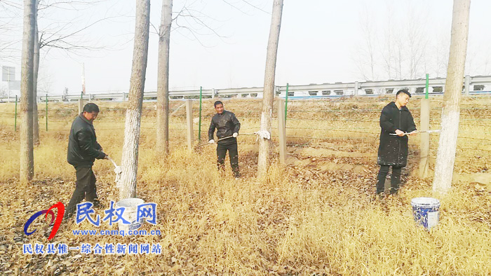 雙塔鎮(zhèn)組織開展連霍高速公路兩側(cè)樹木刷白工作 雙塔鎮(zhèn)組織開展連霍高速公路兩側(cè)樹木刷白工作