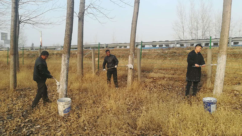 雙塔鎮(zhèn)組織開(kāi)展連霍高速公路兩側(cè)樹(shù)木刷白工作 雙塔鎮(zhèn)組織開(kāi)展連霍高速公路兩側(cè)樹(shù)木刷白工作