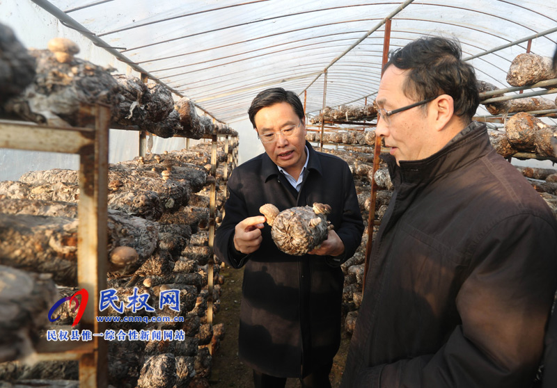 民盟中央脫貧攻堅調(diào)研組到我縣調(diào)研脫貧攻堅工作 民盟中央脫貧攻堅調(diào)研組到我縣調(diào)研脫貧攻堅工作