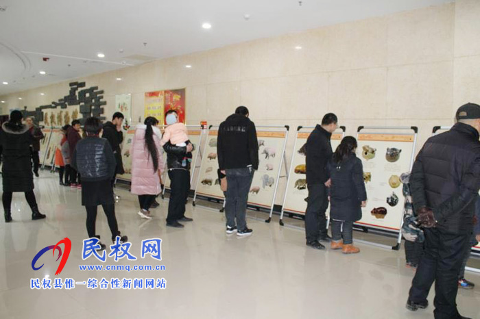 “金豬拱?！液バ麓荷へi文物圖片聯(lián)展”走進(jìn)民權(quán)