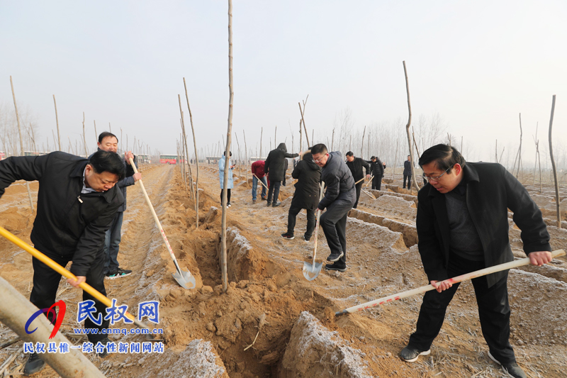 縣領(lǐng)導(dǎo)新春植樹添新綠 縣領(lǐng)導(dǎo)新春植樹添新綠