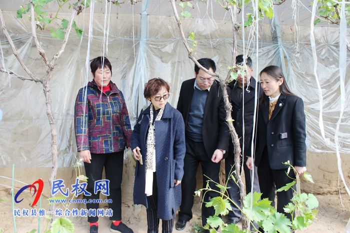 全國婦聯(lián)到我縣調(diào)研《中國婦女報(bào)》進(jìn)鄉(xiāng)村及巾幗脫貧示范基地情況 全國婦聯(lián)到我縣調(diào)研《中國婦女報(bào)》進(jìn)鄉(xiāng)村及巾幗脫貧示范基地情況