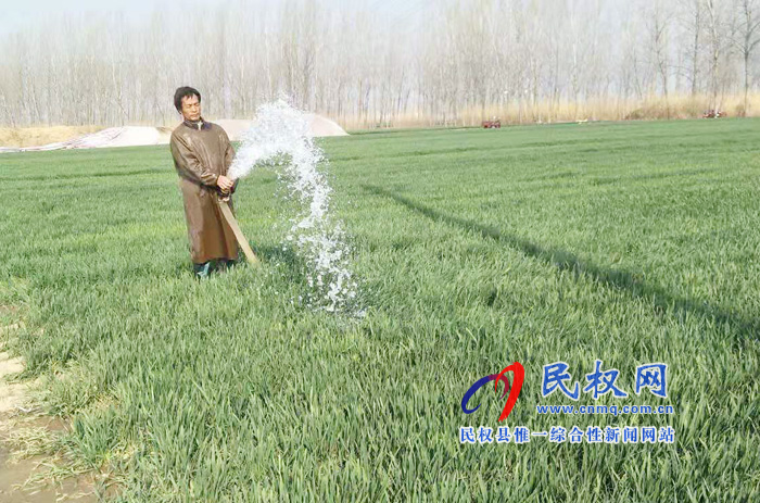 孫六鎮(zhèn)扎實(shí)做好春季麥田管理工作 孫六鎮(zhèn)扎實(shí)做好春季麥田管理工作