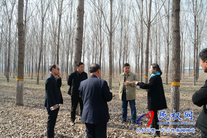 省森防站領導蒞臨民權縣檢查指導森林病蟲害防控工作 省森防站領導蒞臨民權縣檢查指導森林病蟲害防控工作