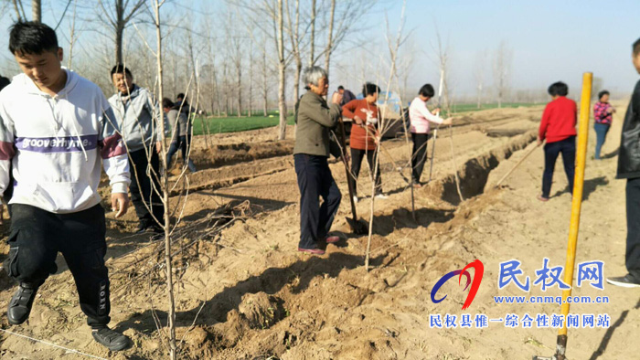 縣林業(yè)局全員下鄉(xiāng)服務(wù)造林綠化工作 縣林業(yè)局全員下鄉(xiāng)服務(wù)造林綠化工作