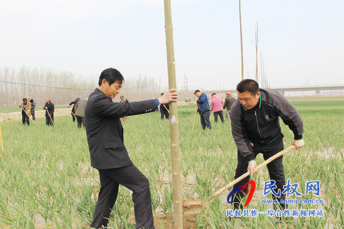 雙塔鎮(zhèn)多措并舉開展春季綠化造林工作 雙塔鎮(zhèn)多措并舉開展春季綠化造林工作