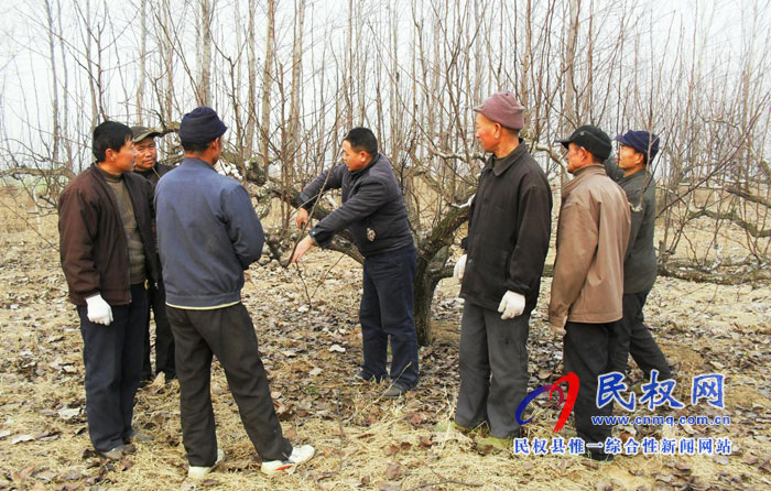 園藝站多措施預(yù)防果樹(shù)“倒春寒” 園藝站多措施預(yù)防果樹(shù)“倒春寒”