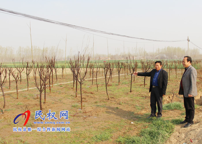 雙塔鎮(zhèn)加強新植苗木管護工作 雙塔鎮(zhèn)加強新植苗木管護工作