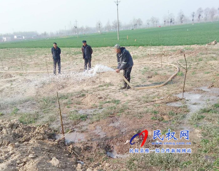 野崗鎮(zhèn):植好圍村林 澆好成活水 消滅飛絮楊 野崗鎮(zhèn):植好圍村林 澆好成活水 消滅飛絮楊