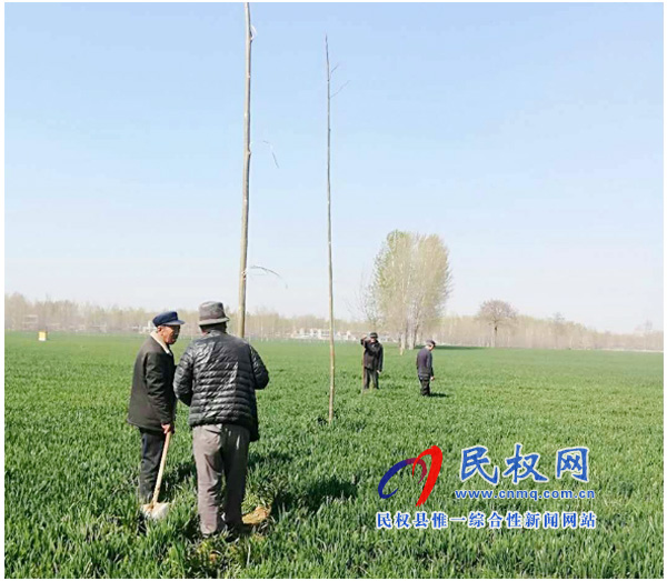 莊子鎮(zhèn):多措并舉強抓農(nóng)田林網(wǎng)建設(shè) 莊子鎮(zhèn):多措并舉強抓農(nóng)田林網(wǎng)建設(shè)