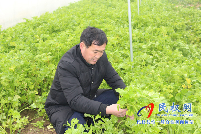 花園鄉(xiāng)四大舉措發(fā)展蔬菜大棚產(chǎn)業(yè) 花園鄉(xiāng)四大舉措發(fā)展蔬菜大棚產(chǎn)業(yè)