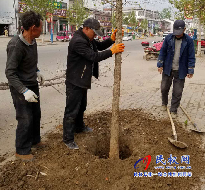 孫六鎮(zhèn):補植綠化樹?扮靚鎮(zhèn)域風景 孫六鎮(zhèn):補植綠化樹?扮靚鎮(zhèn)域風景