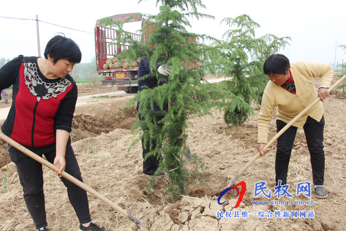 褚廟鄉(xiāng)多措并舉開展農(nóng)田林網(wǎng)建設(shè) 褚廟鄉(xiāng)多措并舉開展農(nóng)田林網(wǎng)建設(shè)