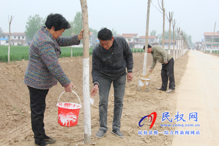 褚廟鄉(xiāng)多措并舉開展農(nóng)田林網(wǎng)建設(shè) 褚廟鄉(xiāng)多措并舉開展農(nóng)田林網(wǎng)建設(shè)