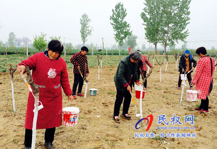 花園鄉(xiāng)推進(jìn)植樹(shù)造林打造“森林花園” 花園鄉(xiāng)推進(jìn)植樹(shù)造林打造“森林花園”