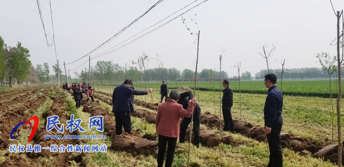 莊子鎮(zhèn)積極開展國(guó)土綠化、植樹造林活動(dòng)
