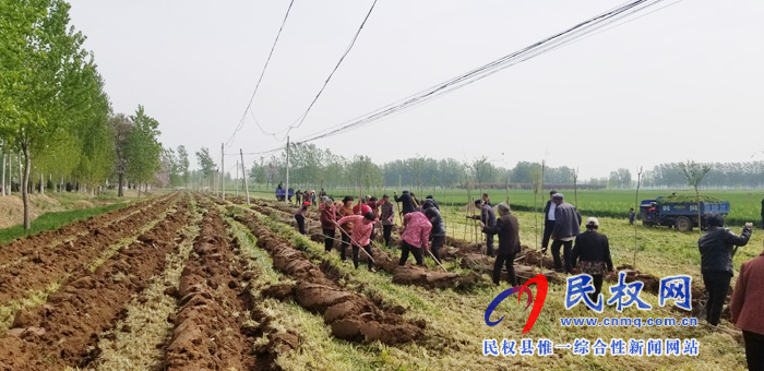 莊子鎮(zhèn)積極開展國(guó)土綠化、植樹造林活動(dòng)