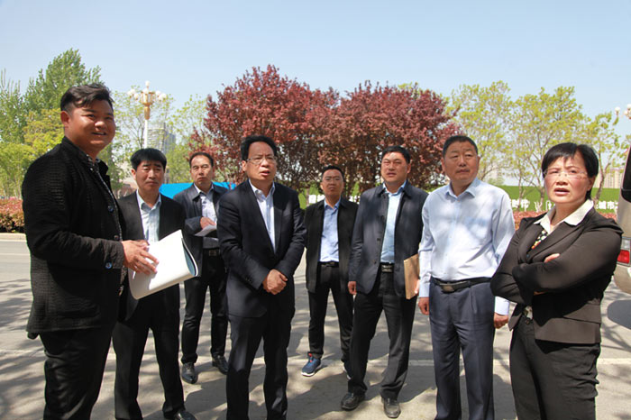 縣委常委、常務(wù)副縣長李啟峰查看我縣城區(qū)綠化工作進展情況