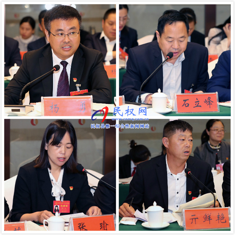 民權(quán)代表團(tuán)認(rèn)真審議市人大常委會(huì)和法檢兩院工作報(bào)告 民權(quán)代表團(tuán)認(rèn)真審議市人大常委會(huì)和法檢兩院工作報(bào)告