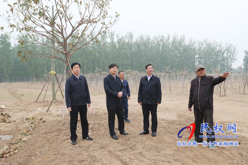 市委常委、宣傳部長(zhǎng)王全周調(diào)研我縣申甘林帶“媒林”建設(shè)及鄉(xiāng)村旅游發(fā)展情況