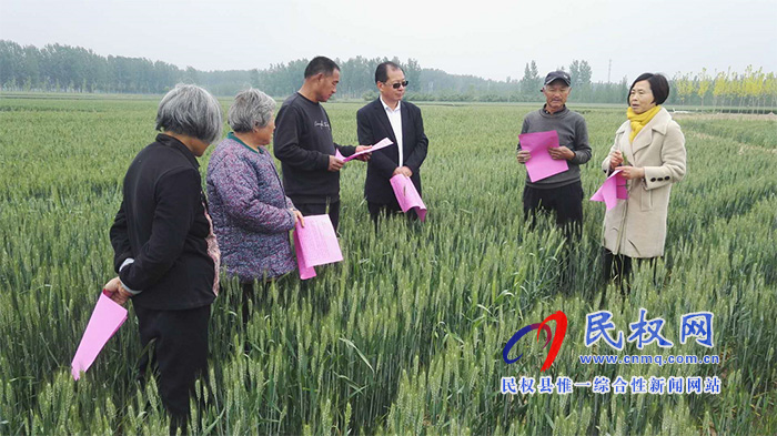 深入實(shí)際 服務(wù)三農(nóng)---民權(quán)縣農(nóng)業(yè)農(nóng)村局農(nóng)技人員傾情服務(wù)在田間 深入實(shí)際 服務(wù)三農(nóng)---民權(quán)縣農(nóng)業(yè)農(nóng)村局農(nóng)技人員傾情服務(wù)在田間