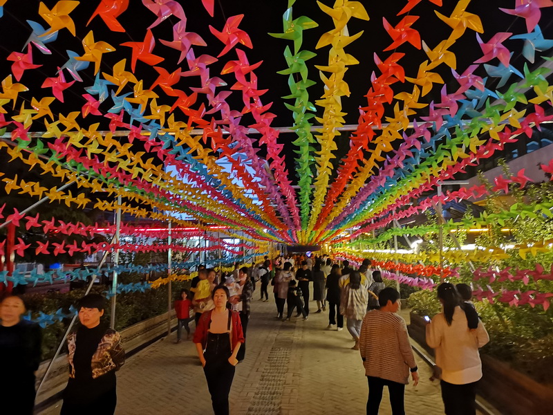 花園鄉(xiāng)趙洪坡村“夜游模式”備受游客追捧 花園鄉(xiāng)趙洪坡村“夜游模式”備受游客追捧