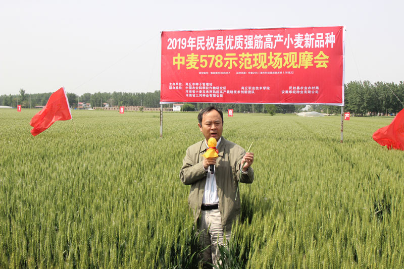 2019年商丘市優(yōu)質(zhì)強筋高產(chǎn)小麥新品種示范現(xiàn)場觀摩會在民權(quán)召開 2019年商丘市優(yōu)質(zhì)強筋高產(chǎn)小麥新品種示范現(xiàn)場觀摩會在民權(quán)召開