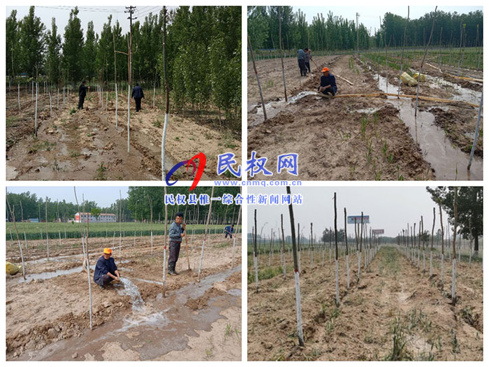雙塔鎮(zhèn)加強(qiáng)新植苗木管護(hù)工作 雙塔鎮(zhèn)加強(qiáng)新植苗木管護(hù)工作