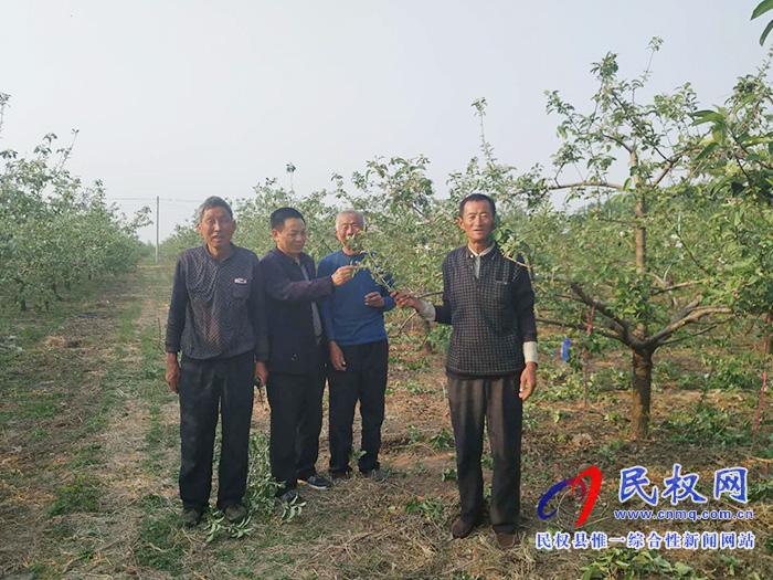 園藝站科技人員深入果園幫助果農(nóng)解決果樹(shù)技術(shù)難題 園藝站科技人員深入果園幫助果農(nóng)解決果樹(shù)技術(shù)難題