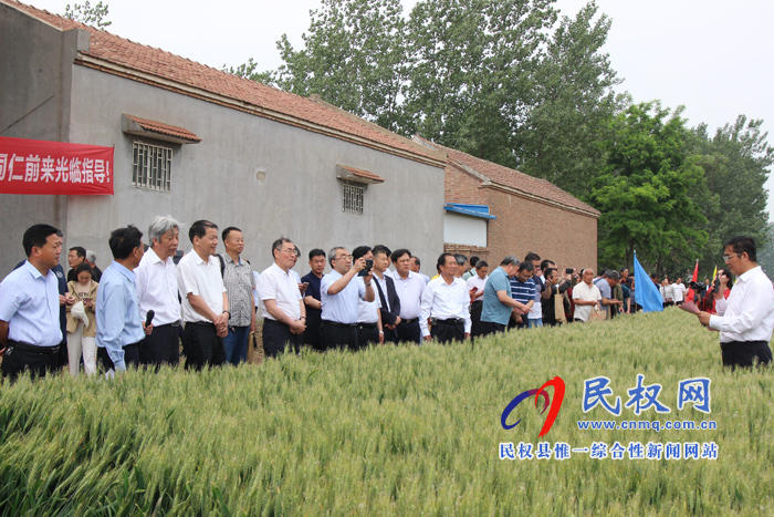 河南省2019年國審小麥新品種鄭麥1860現(xiàn)場觀摩會在民權(quán)縣召開 河南省2019年國審小麥新品種鄭麥1860現(xiàn)場觀摩會在民權(quán)縣召開