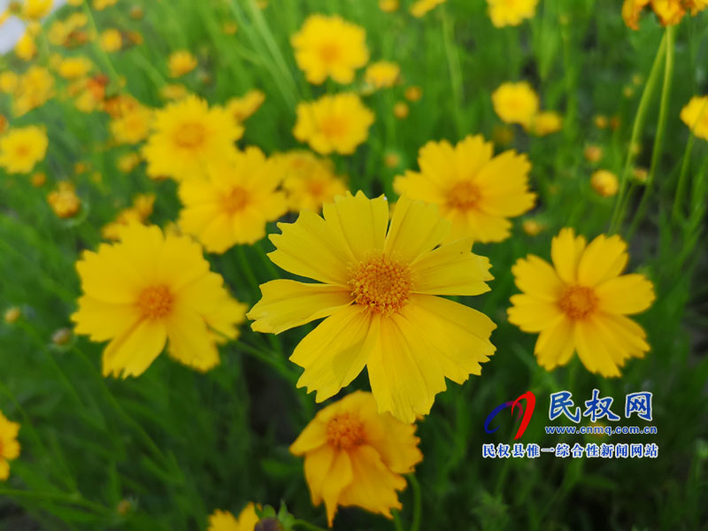 圖說民權(quán)丨民權(quán)縣安瀾湖公園 圖說民權(quán)丨民權(quán)縣安瀾湖公園