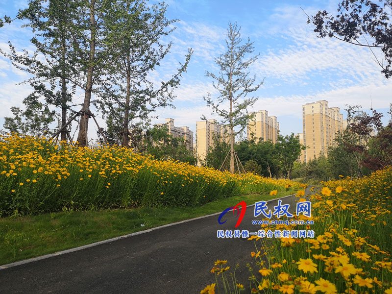 圖說民權(quán)丨民權(quán)縣安瀾湖公園 圖說民權(quán)丨民權(quán)縣安瀾湖公園