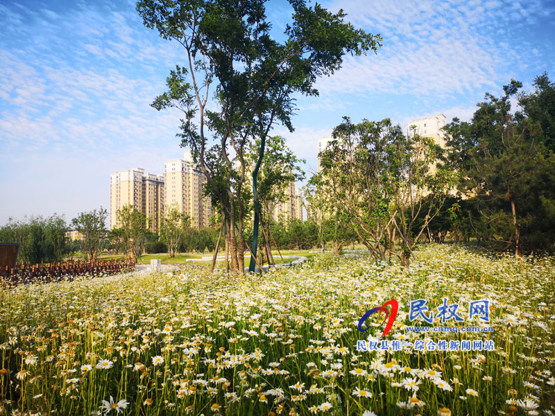 圖說民權(quán)丨民權(quán)縣安瀾湖公園 圖說民權(quán)丨民權(quán)縣安瀾湖公園