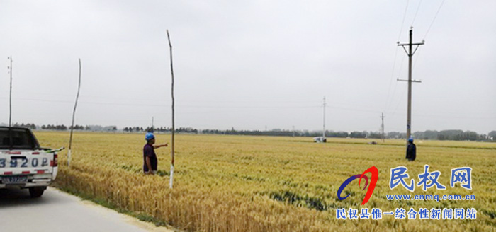 民權(quán)縣供電公司:提前應(yīng)對(duì)麥田火災(zāi)隱患 民權(quán)縣供電公司:提前應(yīng)對(duì)麥田火災(zāi)隱患