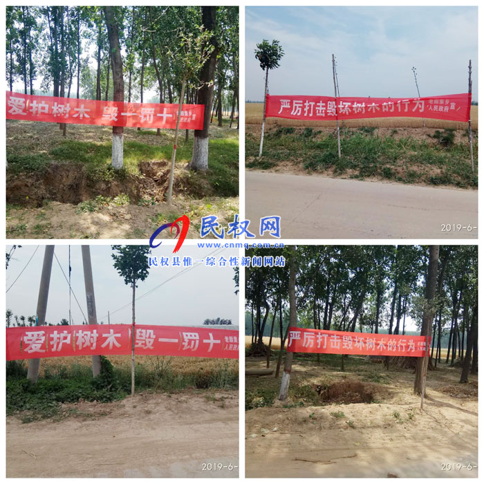 老顏集鄉(xiāng)全力做好麥?zhǔn)掌陂g林木管護(hù)工作 老顏集鄉(xiāng)全力做好麥?zhǔn)掌陂g林木管護(hù)工作