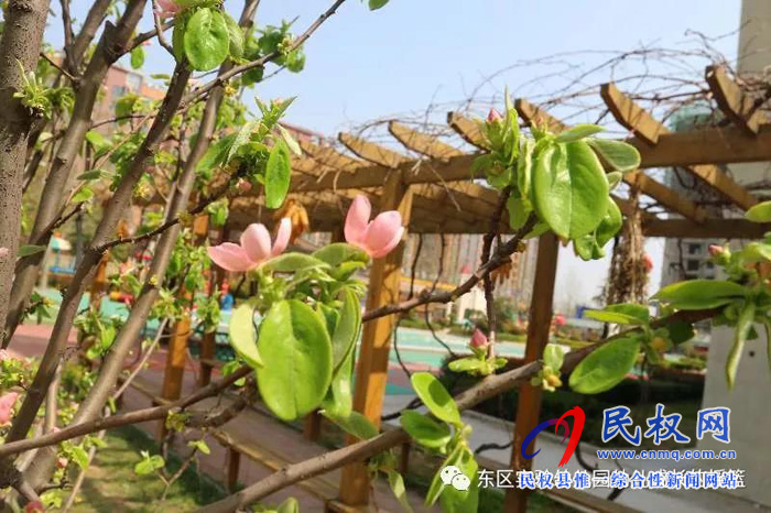 民東新區(qū)實(shí)驗(yàn)幼兒園2019年秋季學(xué)位預(yù)訂開始啦！