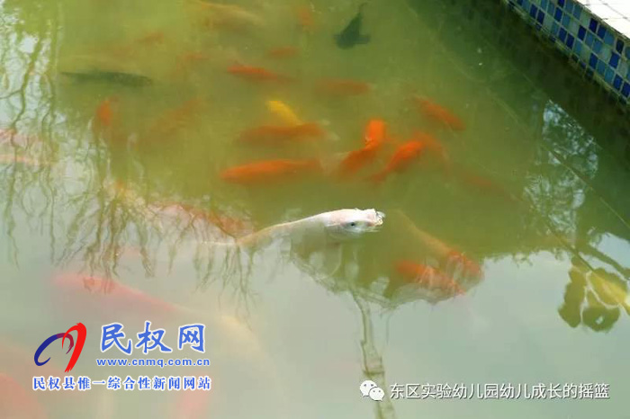 民東新區(qū)實(shí)驗(yàn)幼兒園2019年秋季學(xué)位預(yù)訂開始啦！