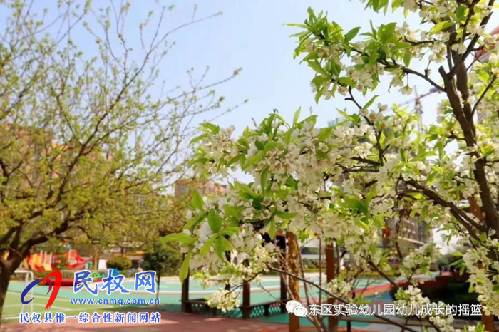 民東新區(qū)實(shí)驗(yàn)幼兒園2019年秋季學(xué)位預(yù)訂開始啦！