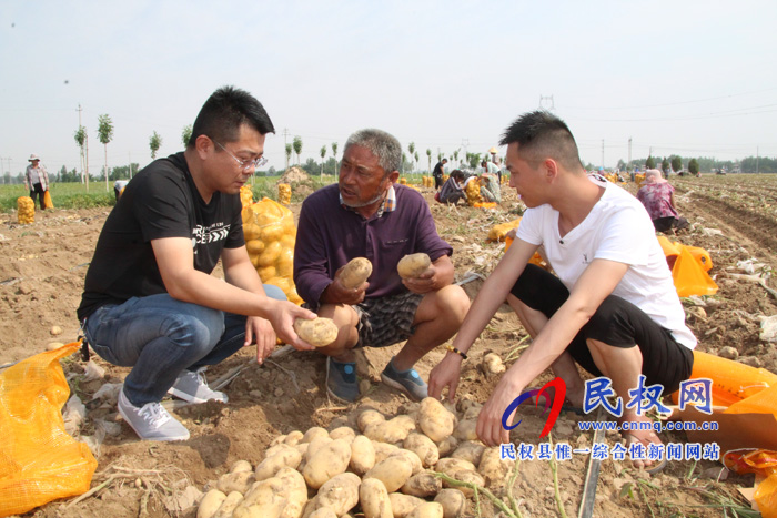 花園鄉(xiāng)3000畝馬鈴薯喜獲豐收 花園鄉(xiāng)3000畝馬鈴薯喜獲豐收