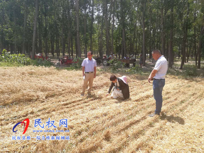 縣農(nóng)業(yè)農(nóng)村局加強(qiáng)麥?zhǔn)掌陂g秋作物的田間管理 縣農(nóng)業(yè)農(nóng)村局加強(qiáng)麥?zhǔn)掌陂g秋作物的田間管理