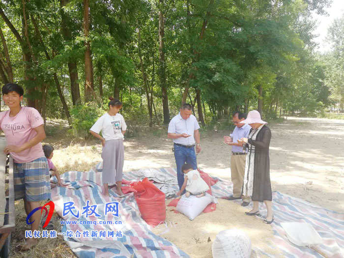縣農(nóng)業(yè)農(nóng)村局加強(qiáng)麥?zhǔn)掌陂g秋作物的田間管理 縣農(nóng)業(yè)農(nóng)村局加強(qiáng)麥?zhǔn)掌陂g秋作物的田間管理